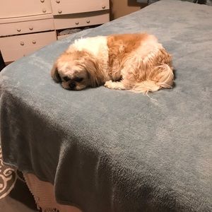 Meet your Posher, Dawn